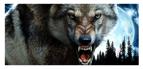 Bad Moon Rising Wolf Wolves Novelty Sign