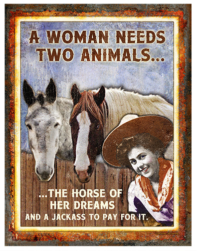 Horse Of Her Dreams Novelty Sign