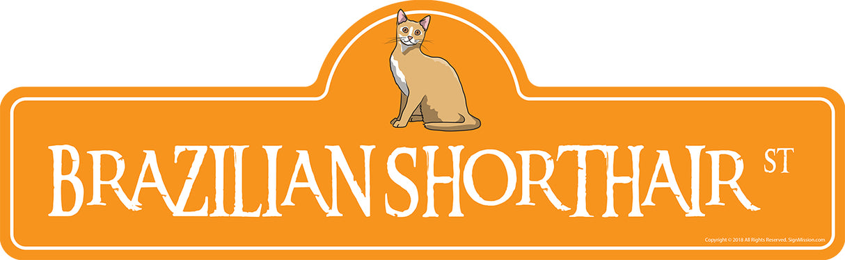 Brazilian Shorthair
