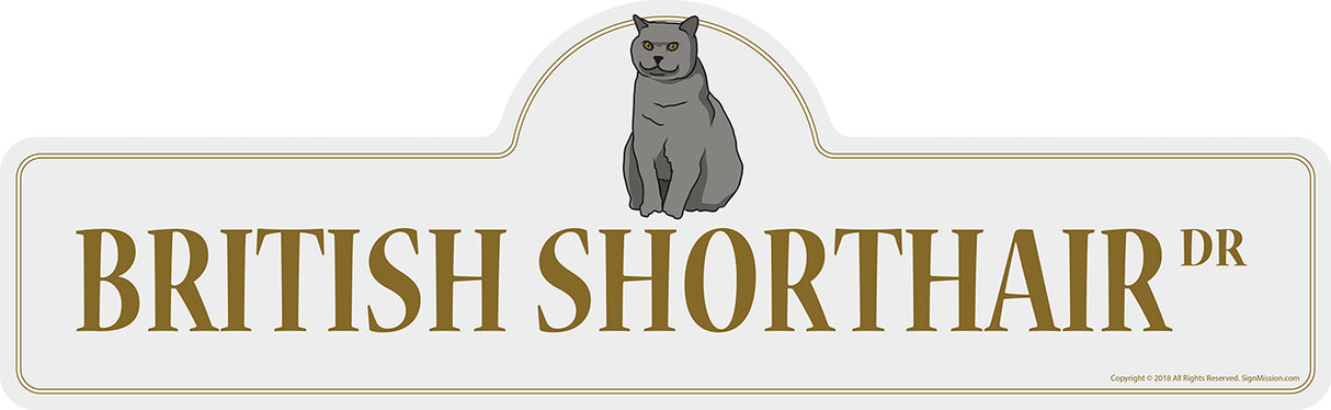 British Shorthair