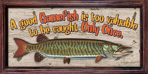 Musky A Good Gamefish Is Too Valuable To Be Caught Only Once Novelty Sign
