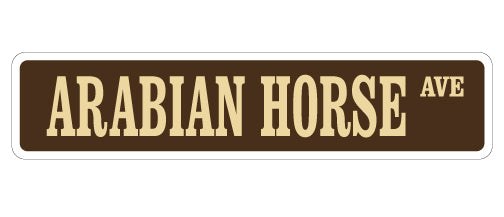 Arabian Horse Street Vinyl Decal Sticker