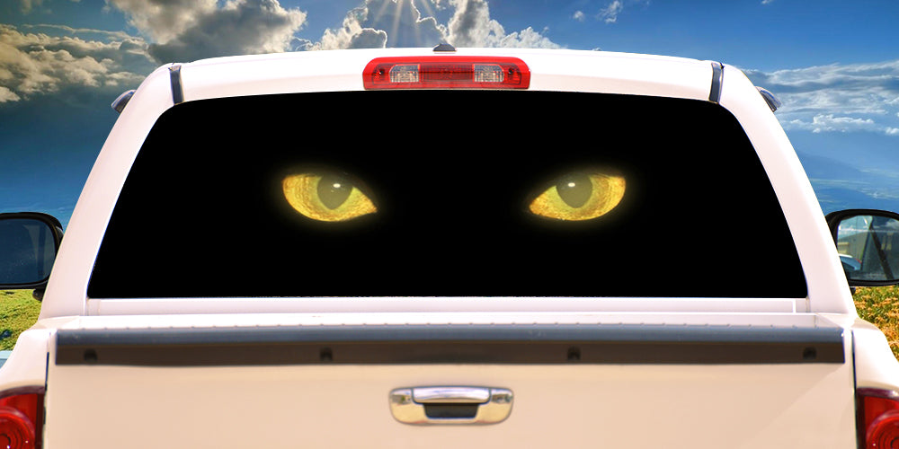 CAT EYES