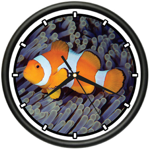 Clownfish
