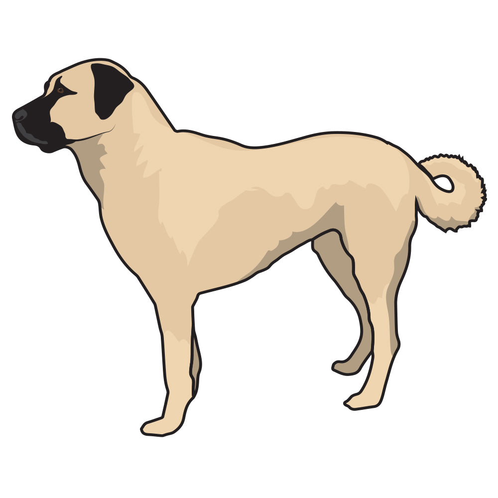 Anatolian Shepherd Dog Decal
