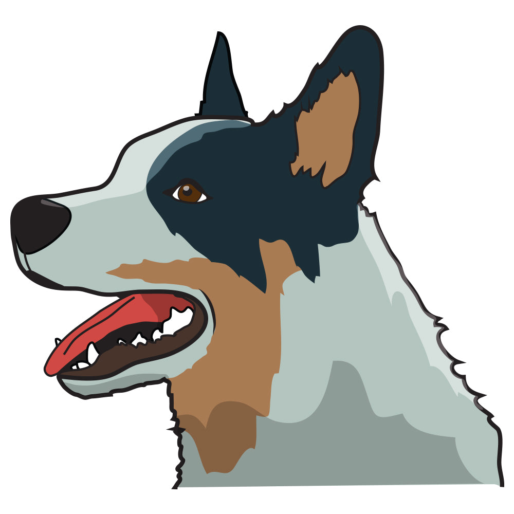 Australian Cattle Dog Decal