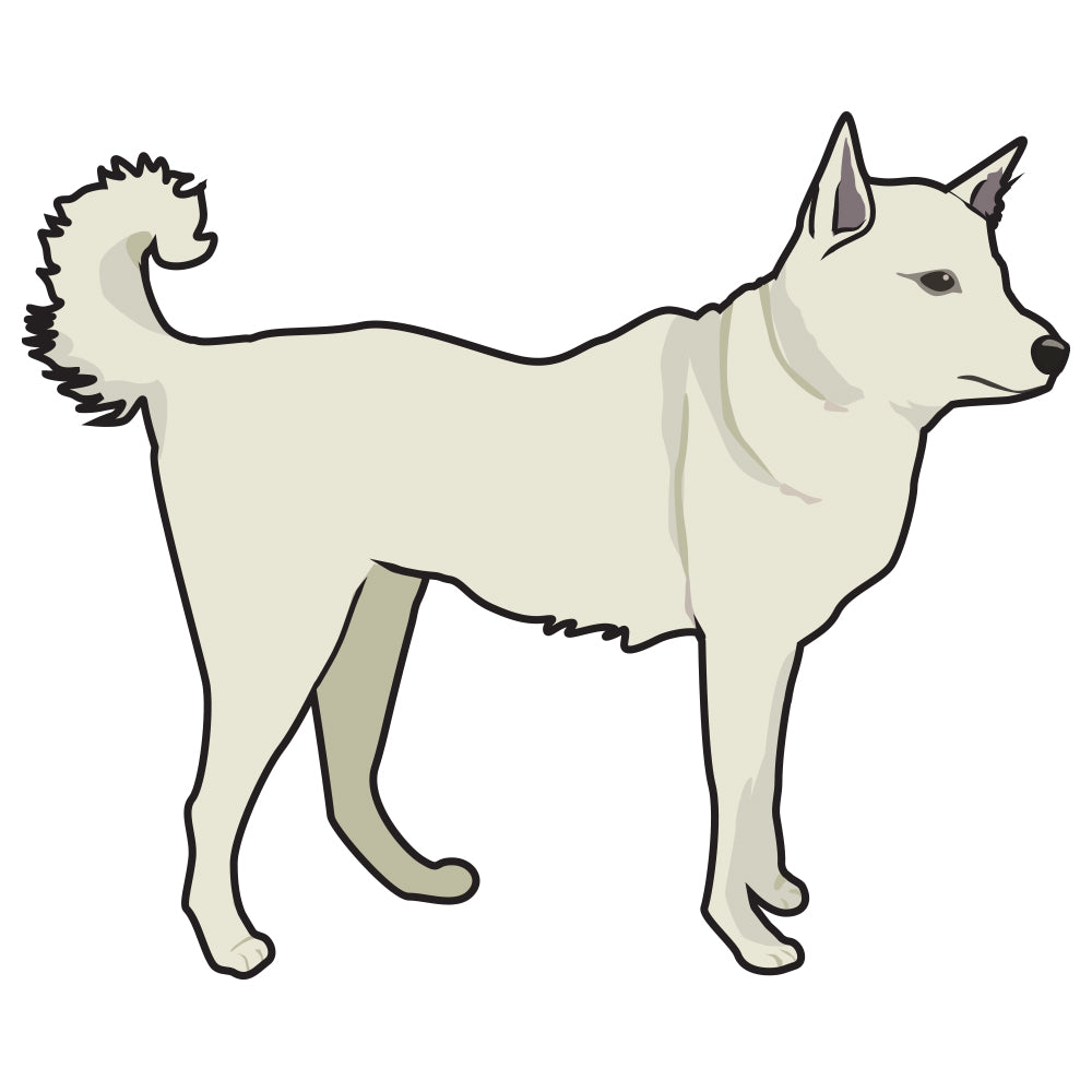 Canaan Dog Dog Decal
