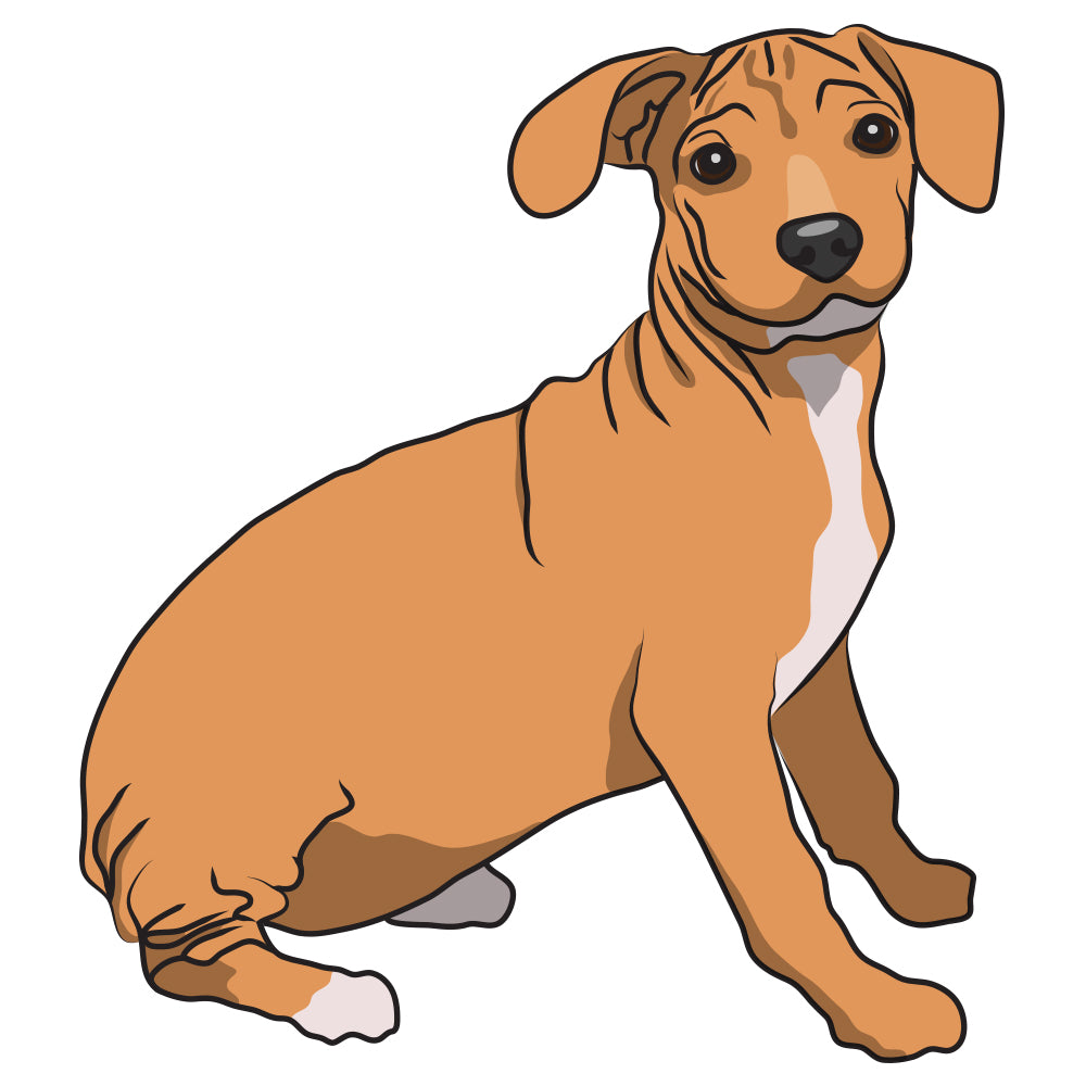 Chiweenie Dog Decal