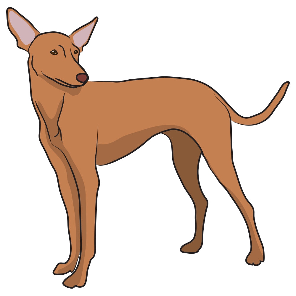 Cirneco Delletna Dog Decal