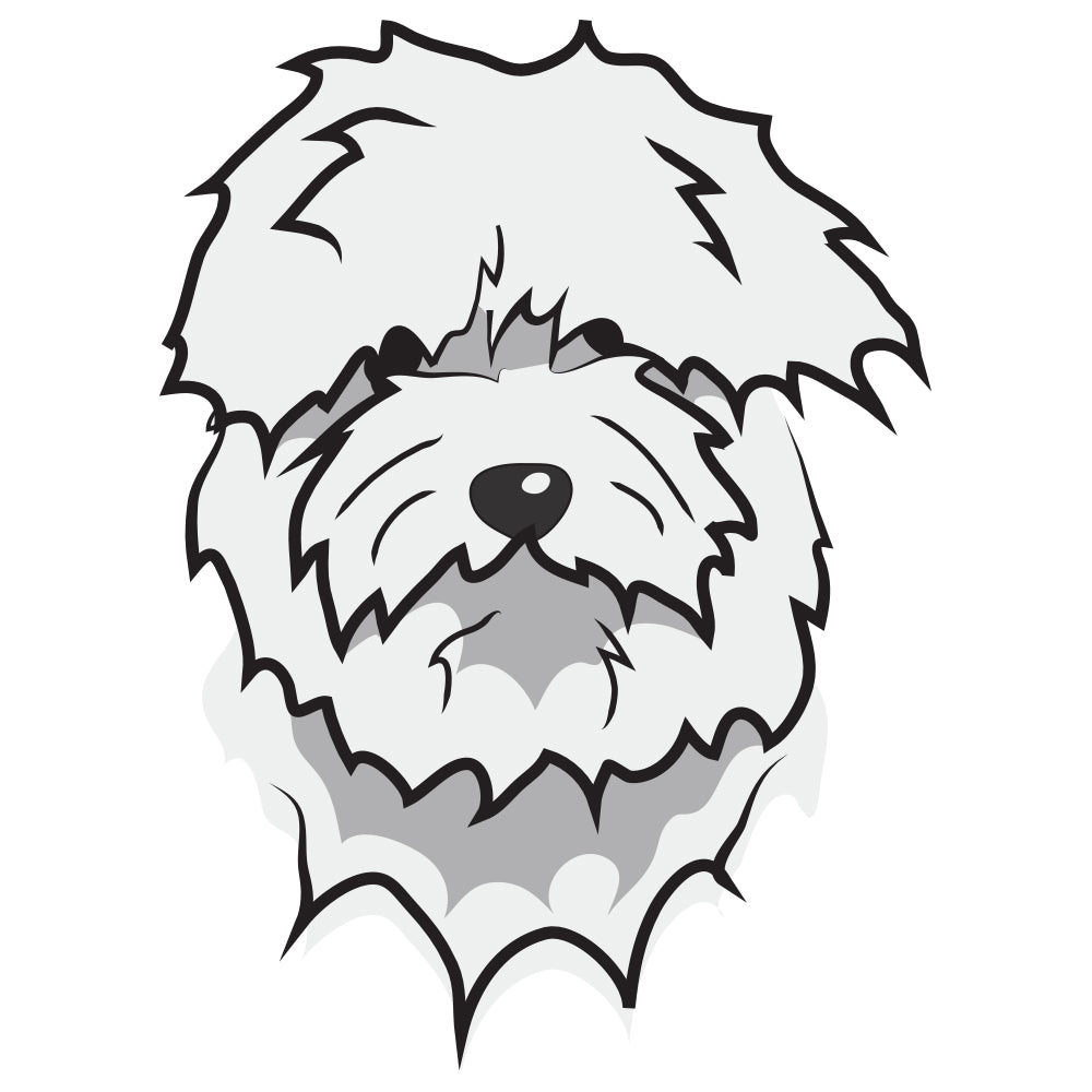 Coton De Tulear Dog Decal