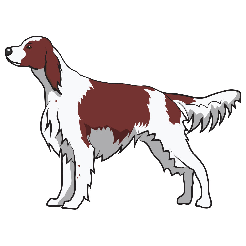 Irish Red And White Setter Dog Decal