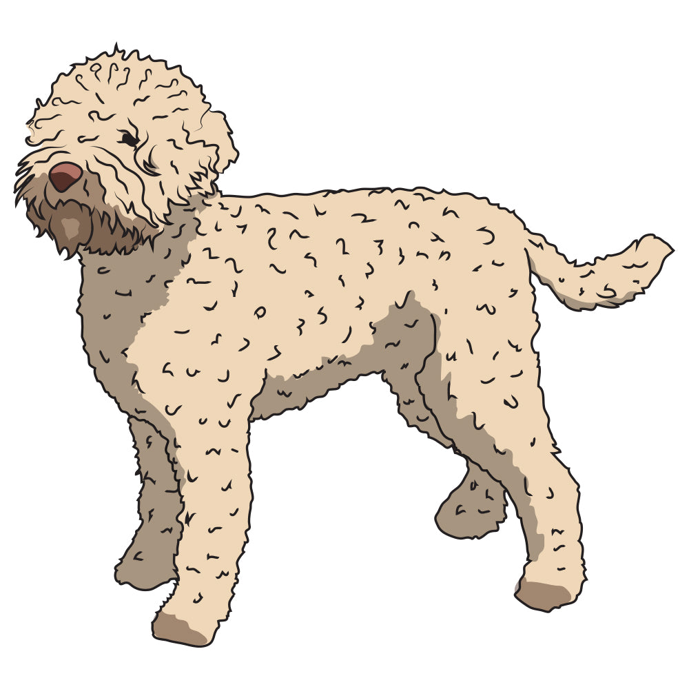Lagotti Romagnoli Dog Decal