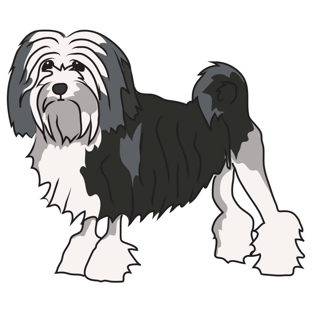 Lowchen Dog Decal