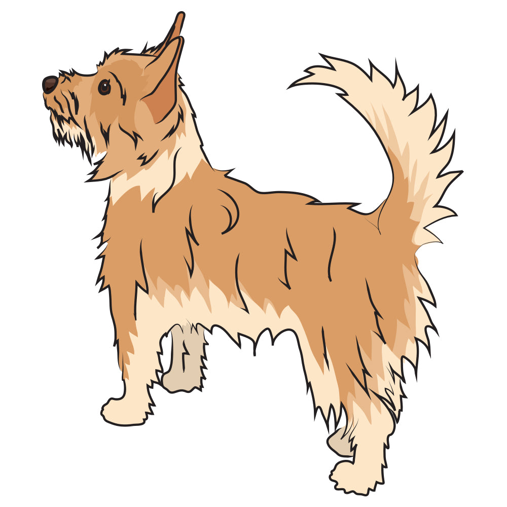 Portuguese Podengo Pequeno Dog Decal