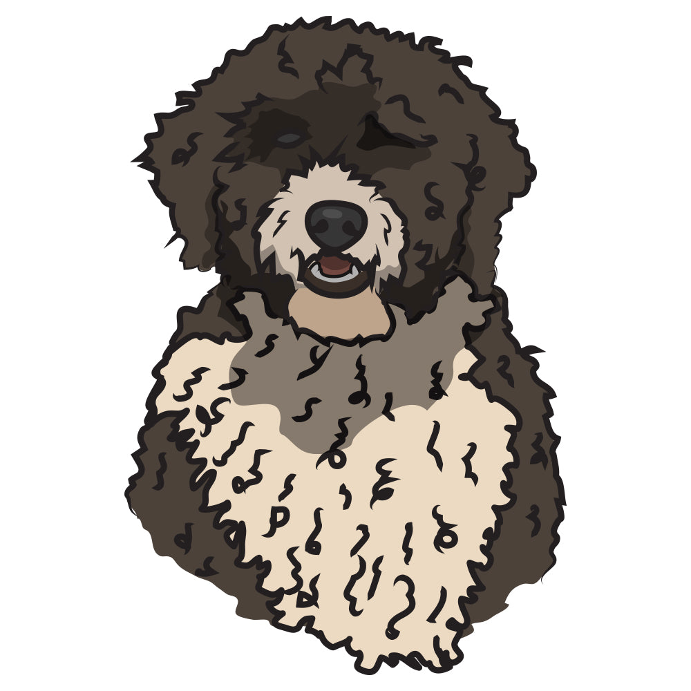 Spanish Water Dog Dog Decal