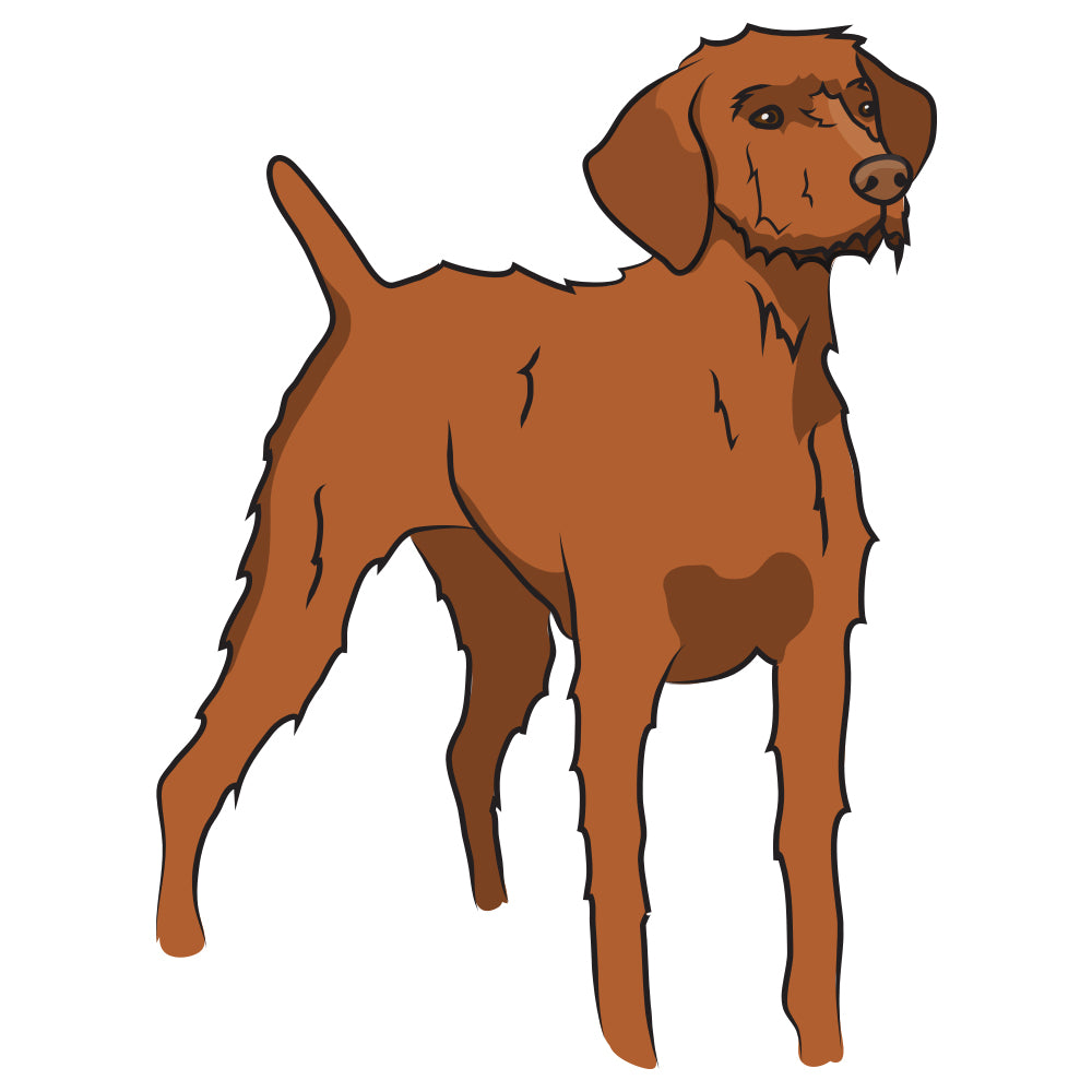 Wirehaired Vizsla Dog Decal