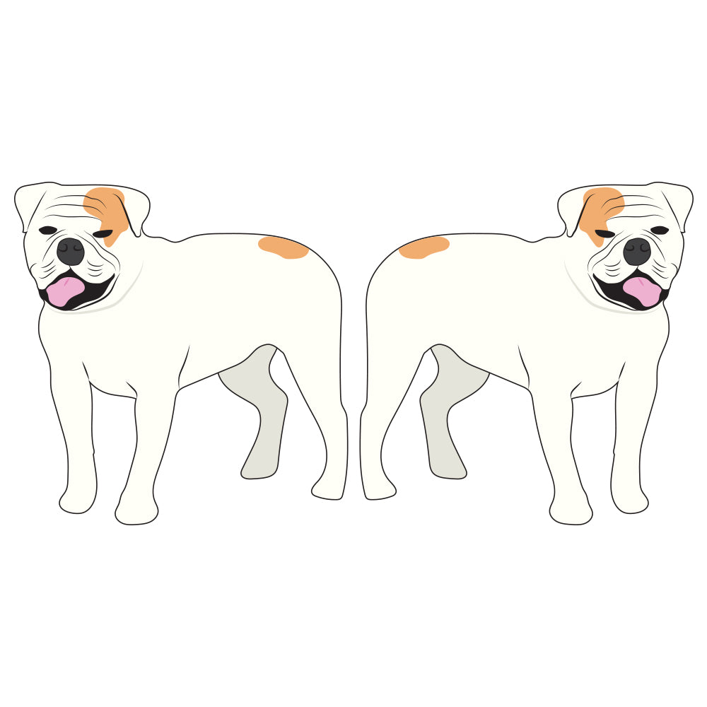 American Bulldog Dog Decal