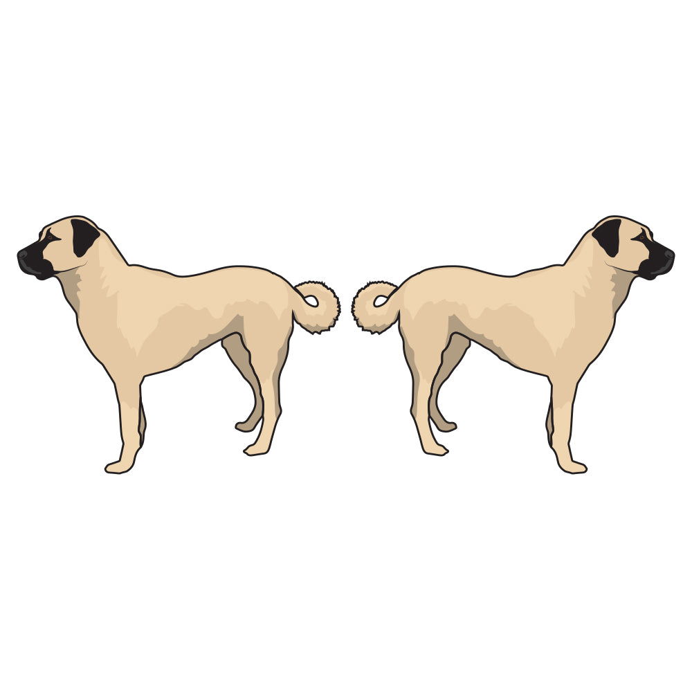 Anatolian Shepherd Dog Decal