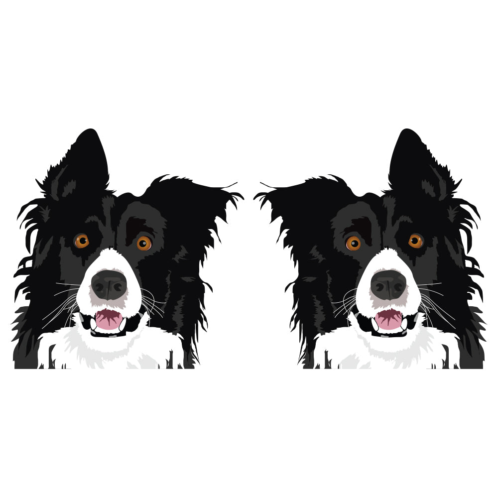 Border Collie Dog Decal