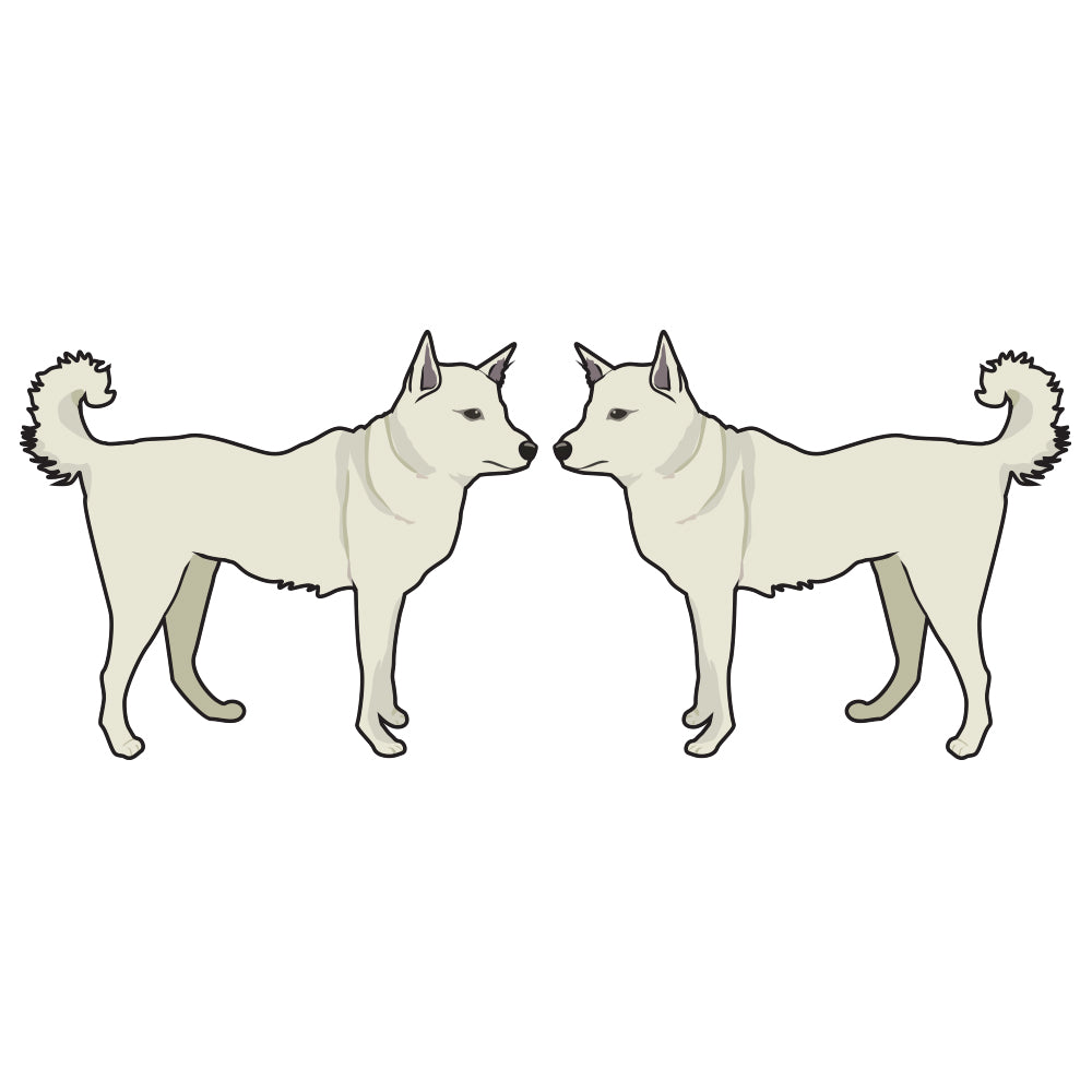 Canaan Dog Dog Decal
