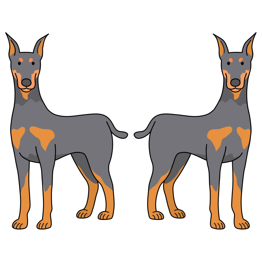 Doberman Pinscher Dog Decal