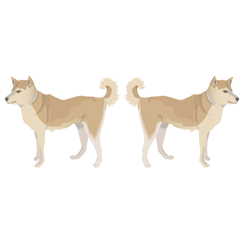 Finnish Spitz Dog Decal