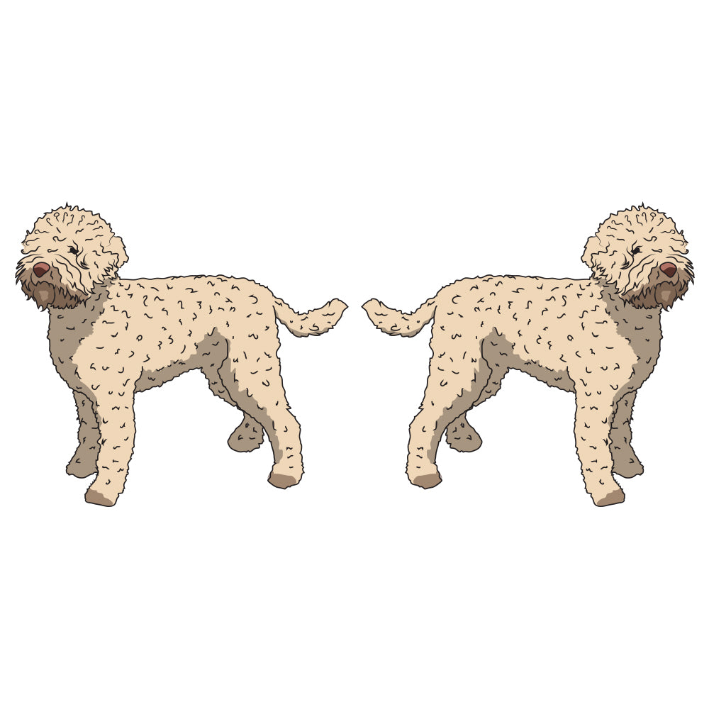 Lagotti Romagnoli Dog Decal