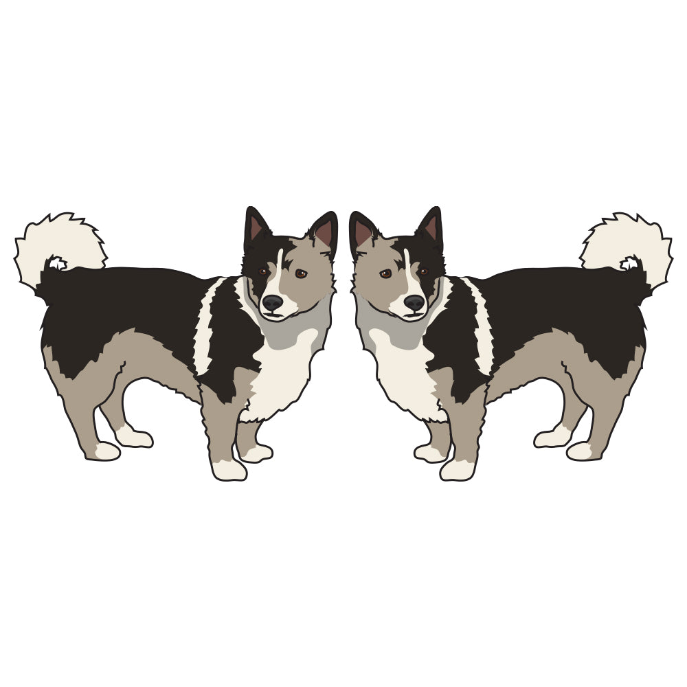 Swedish Vallhund Dog Decal
