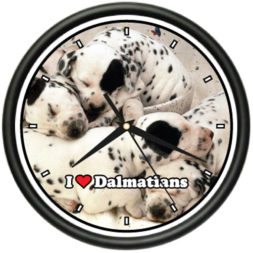 Dalmatian