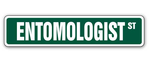 Entomologist Street Vinyl Decal Sticker