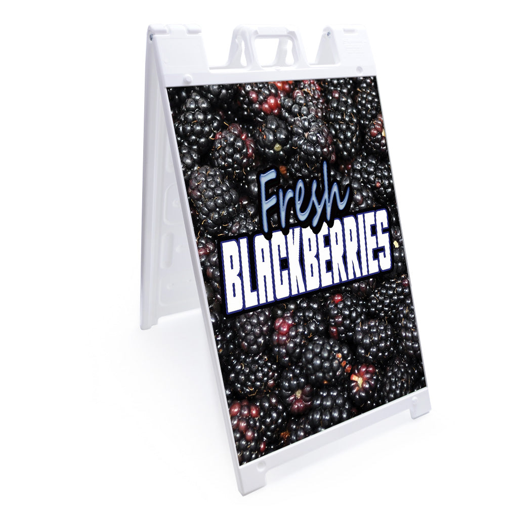 Fresh Blackberries