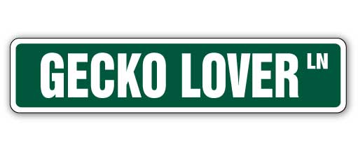 Gecko Lover Street Vinyl Decal Sticker