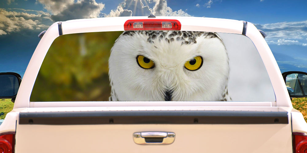 HOOT