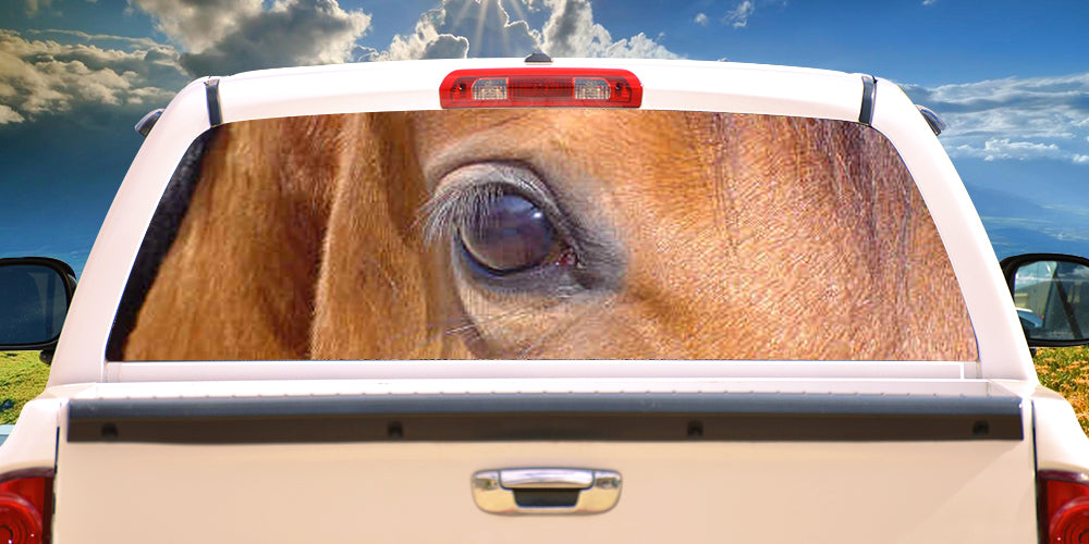 HORSES 3