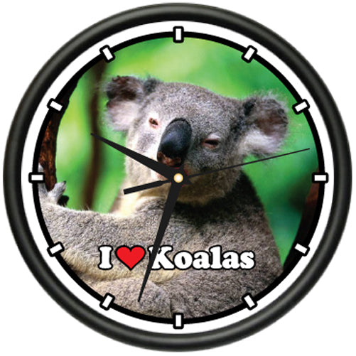 Koala