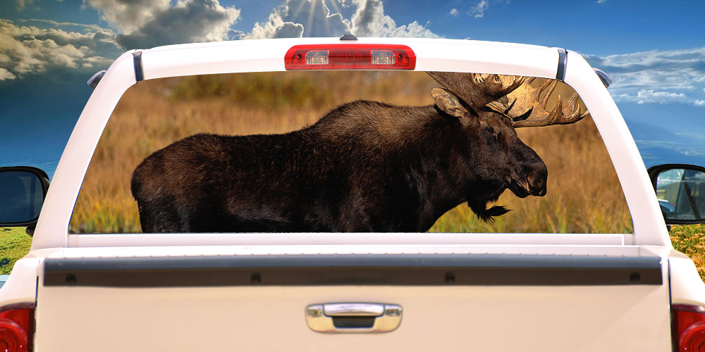 MOOSE