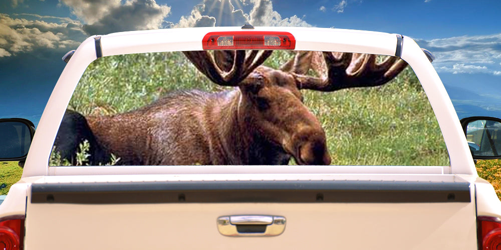 MOOSE1