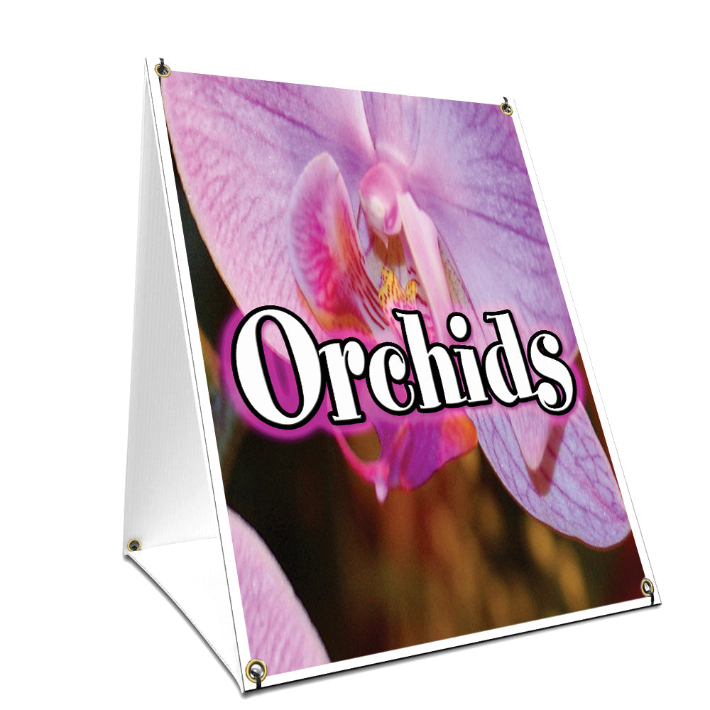 Orchids