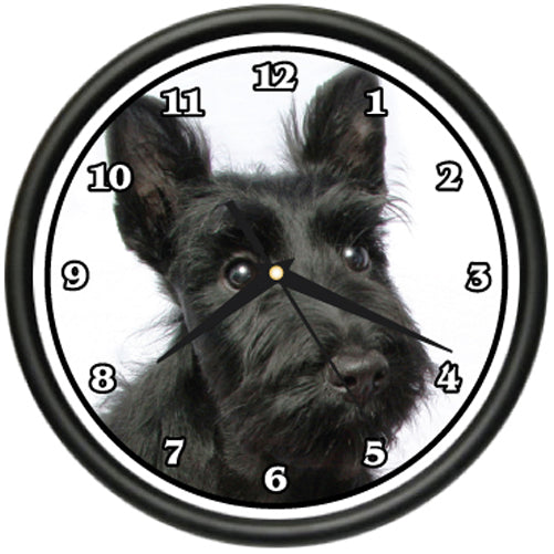 Scottish Terrier
