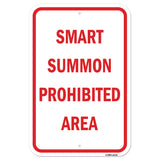 Smart Summon