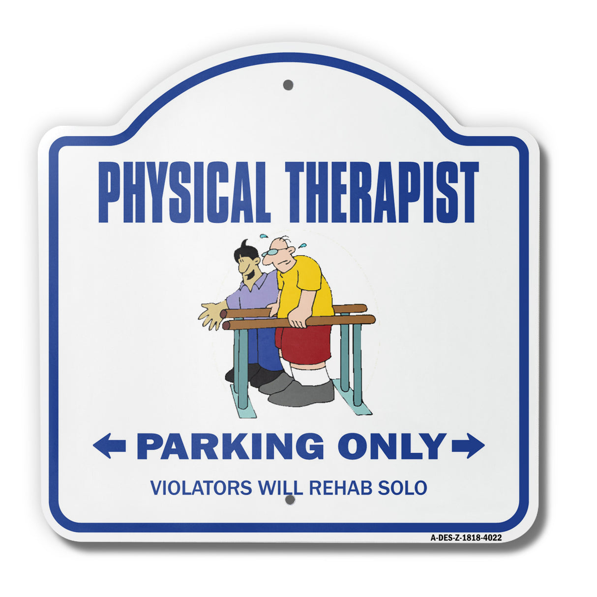 Physical Therapist
