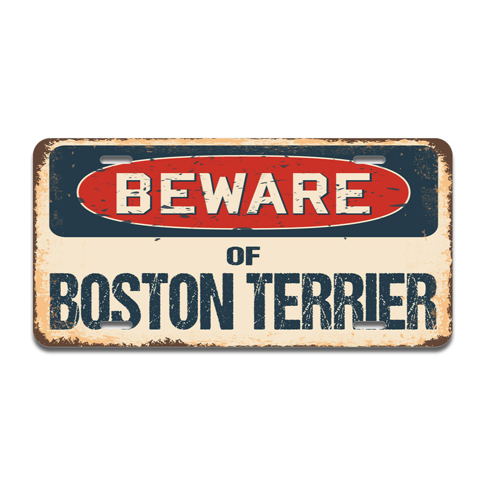 Beware of Boston Terrier