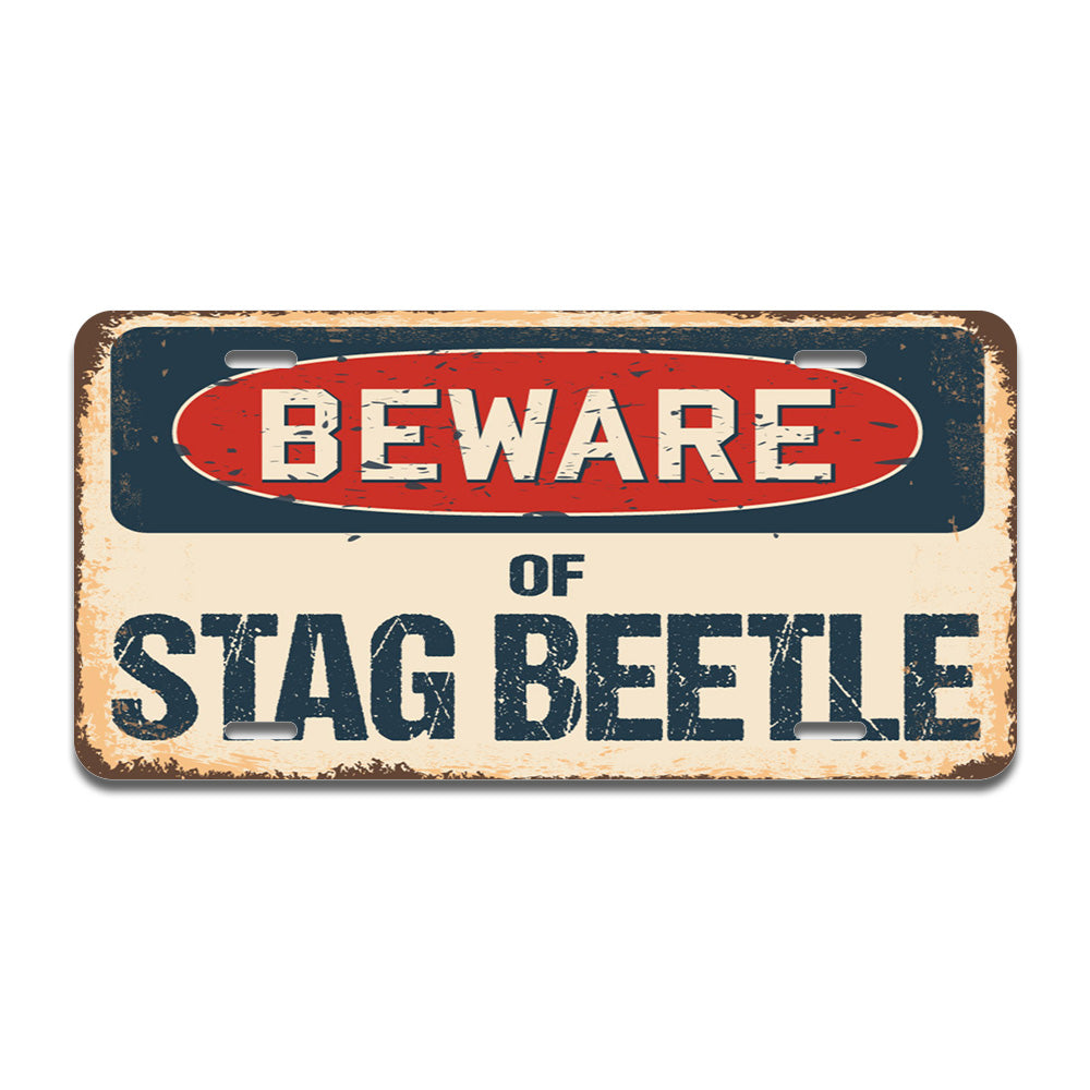 Beware of Stag Beetle