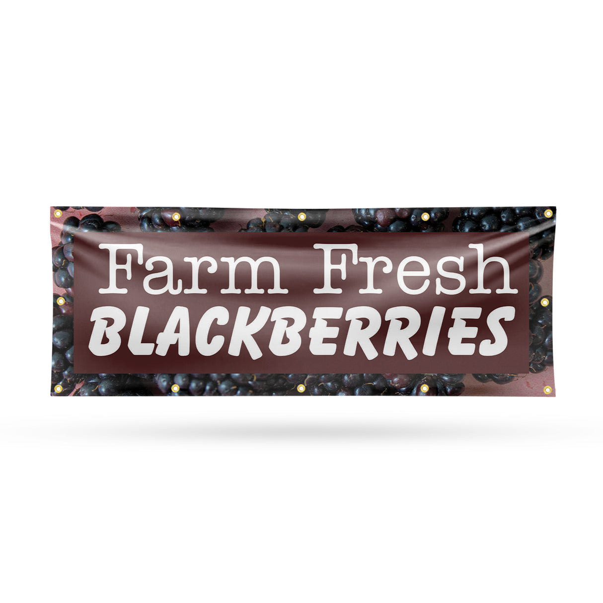 Farm Fresh Blackberries Banner