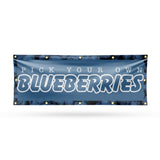 Pick Your Own Blueberries Banner
