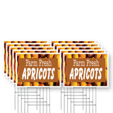 Farm Fresh Apricots
