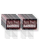Farm Fresh Blackberries