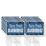 Farm Fresh Blueberries