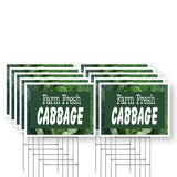Farm Fresh Cabbage