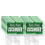 Farm Fresh Cucumber